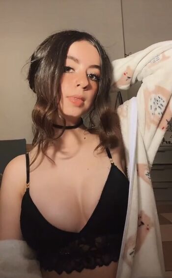 Abicita.a