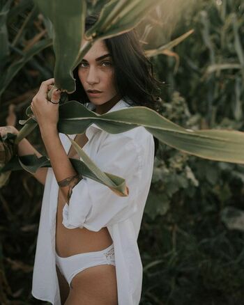 Adi Tal