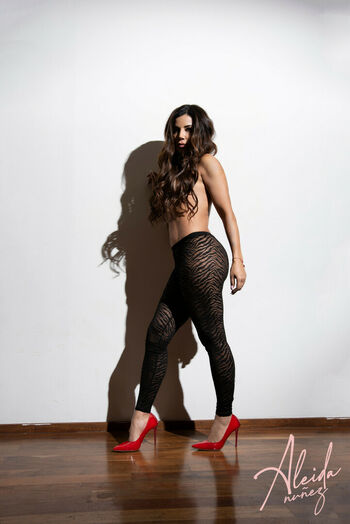 Aleida Nunez
