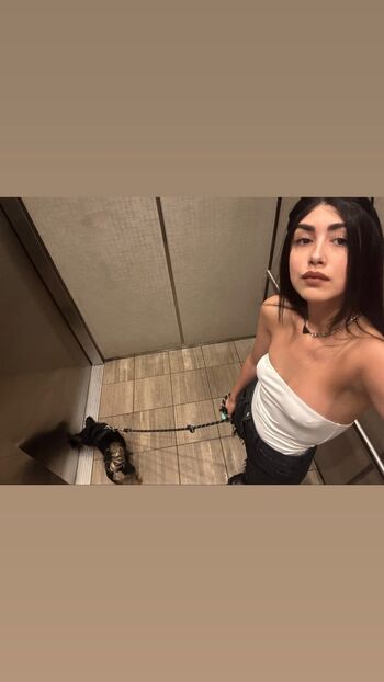 Alexa Mansour