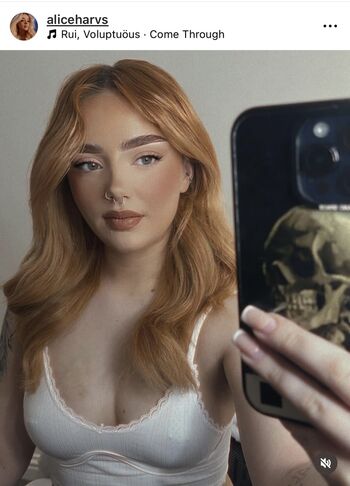 Alharvs Alice Harvey