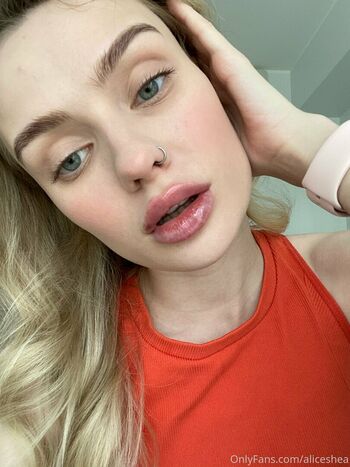 aliceshea
