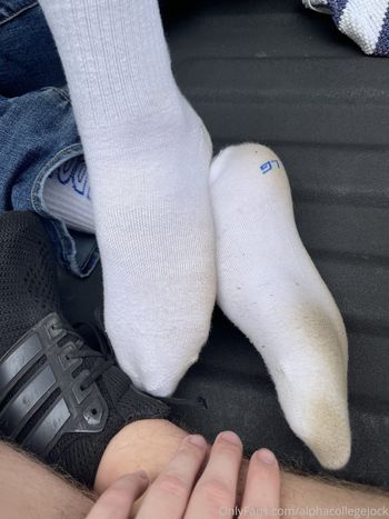 alphacollegejock