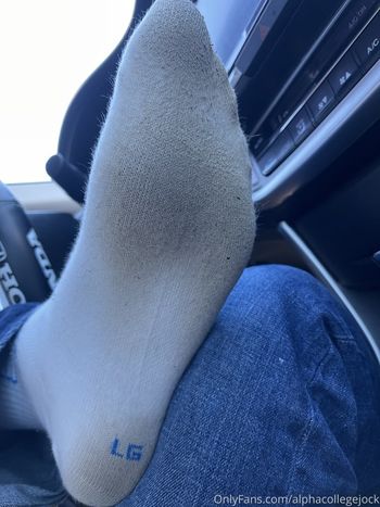 alphacollegejock