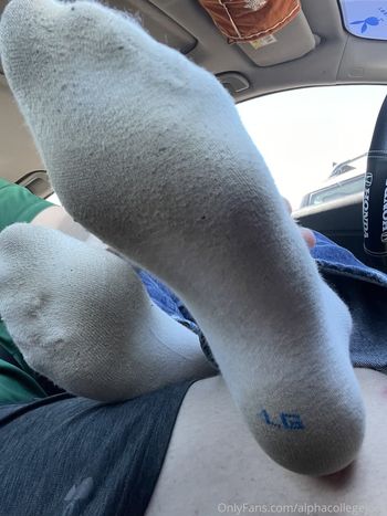 alphacollegejock
