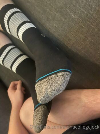 alphacollegejock