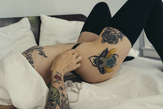 Alysha Nett
