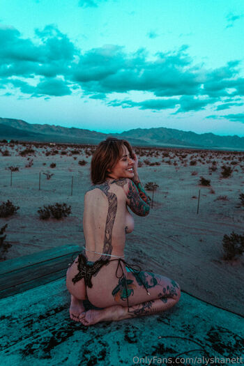 Alysha Nett