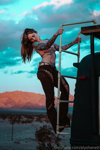 Alysha Nett