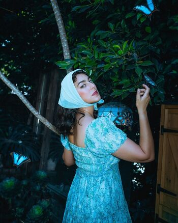 Amanda Lehan-Canto