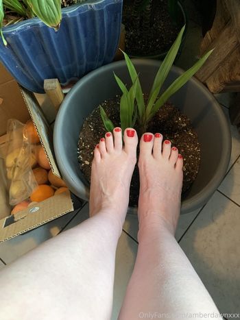 amberdawnxxx