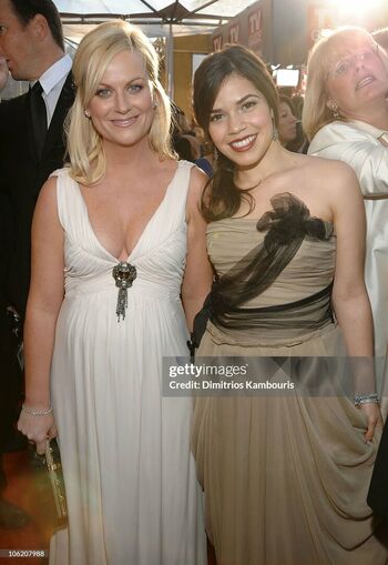 Amy Poehler