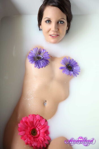 Andi Land