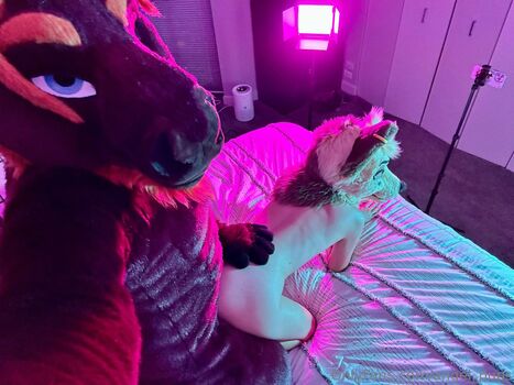 angel_pups