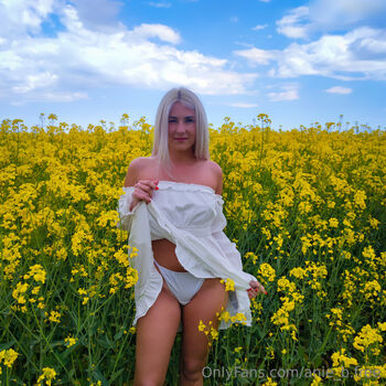 anie_b