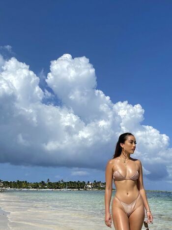 annietdoan