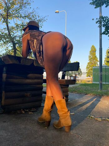 anygalop
