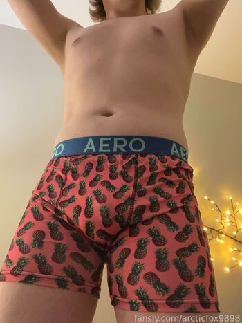 arcticfox9898