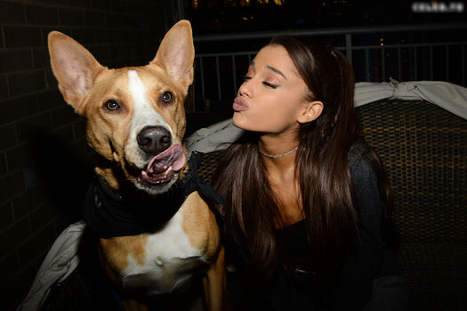 Ariana Grande