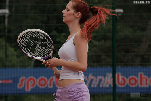 Ariel