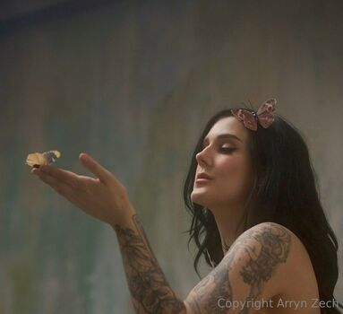 arryn