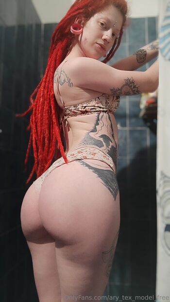ary_tex_model_free