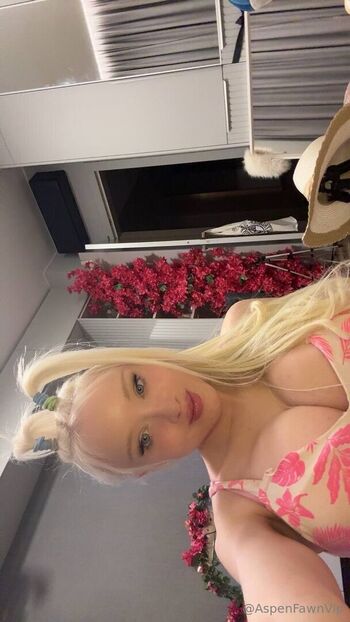 aspenfawnvip