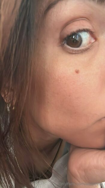 avislovee