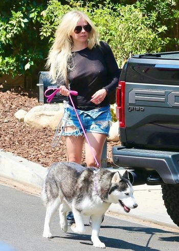 Avril Lavigne
