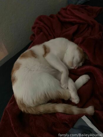 BaileyAbunai