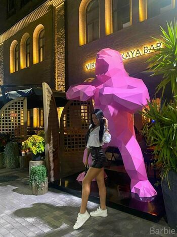 barbie33