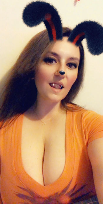 Baseballchickie