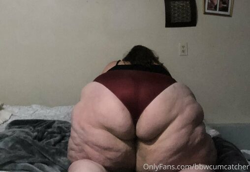 bbwcreamcatcher