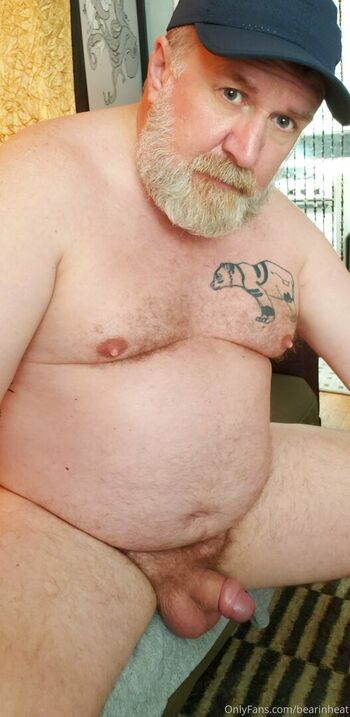 bearinheat