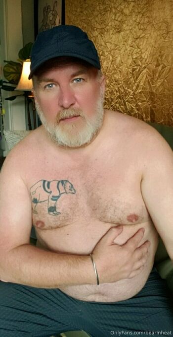 bearinheat