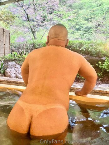 bears_2020