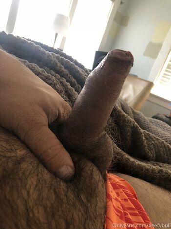 beefybull
