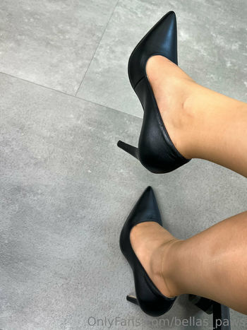 bellas_paws