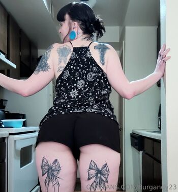 belle_v420