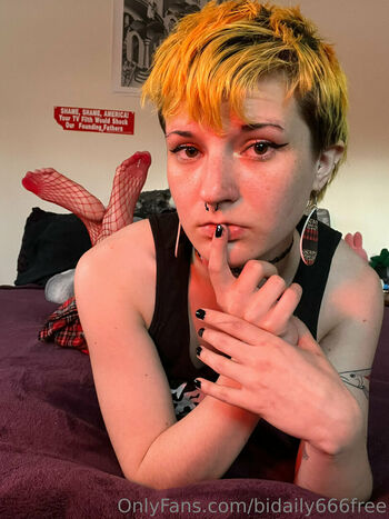 bidaily666free