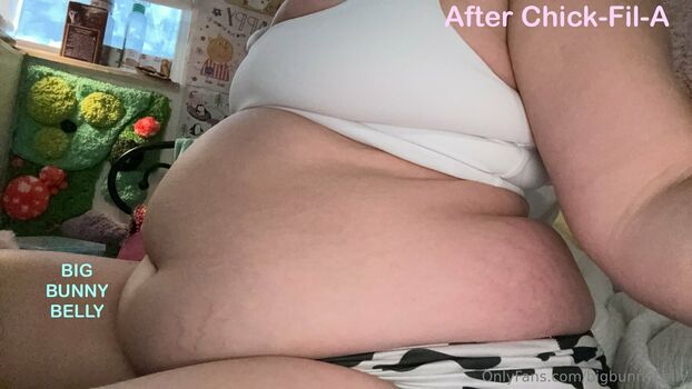 bigbunnybelly
