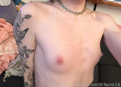 Bitwink18