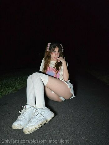 Blossom In The Moonlight