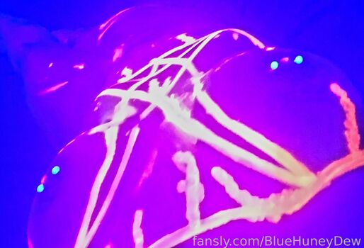 BlueHuneyDew