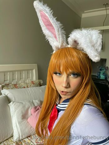 Bonn1e7hebunny