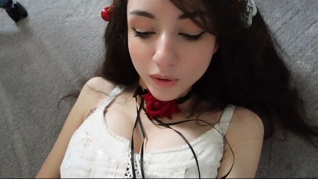 Bonnierabbit