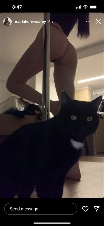 boobsandbeef