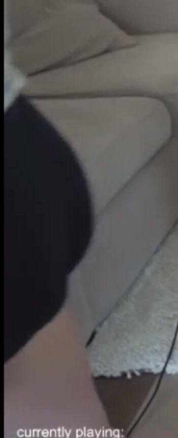 breebunn