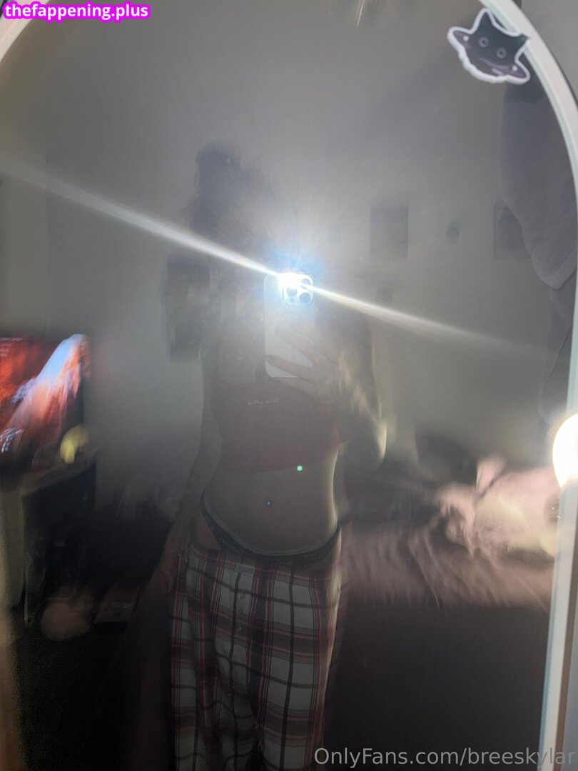 breeskylar