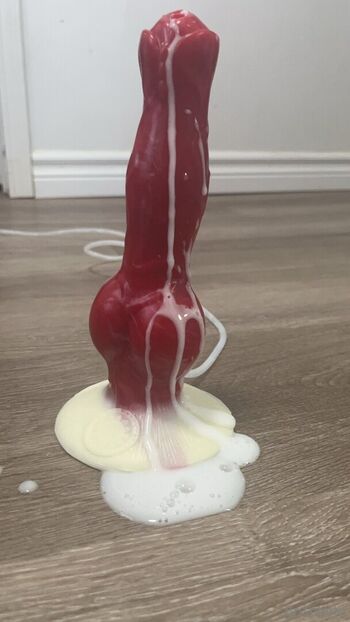 bri811